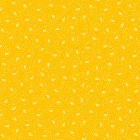 Illusions Colours - 21519S - Paisley Yellow - QT Fabrics