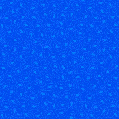 Illusions Colours - 21519Y - Paisley Royal - QT Fabrics