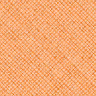 2024 AKNSH Shop Hop - 13610-34 - Apricot - Whisper Weave - Benartex