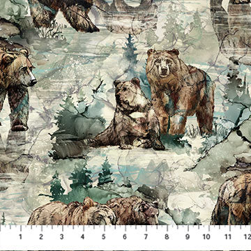 Northern Peaks - DP25167-71 - Northcott Fabrics