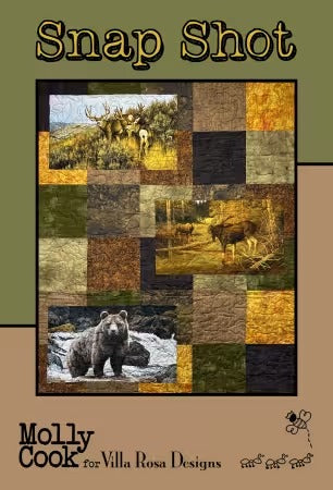 Snap Shot pattern