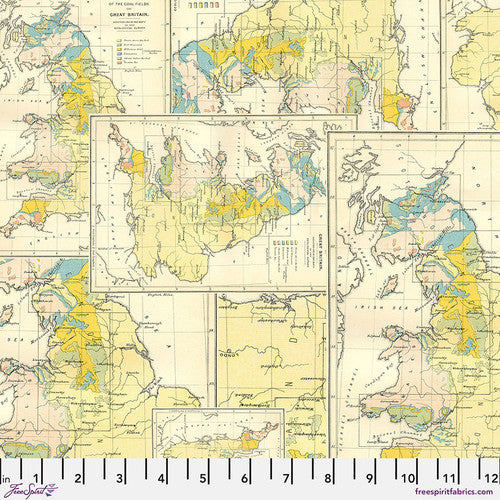 Yellow Palette - PWTH243.yellow - Map - FreeSpirit Fabrics