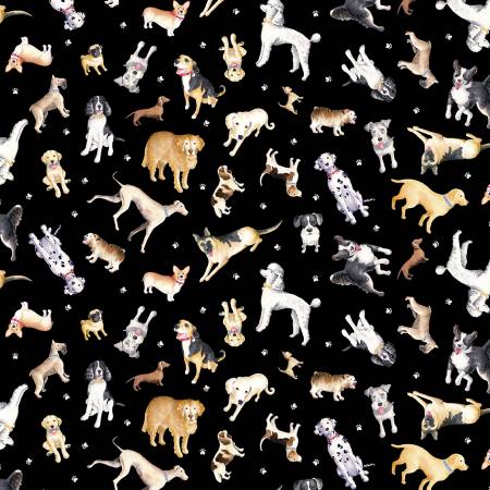 Think Pawsitive - Black Faithful Friends - 9730B-12