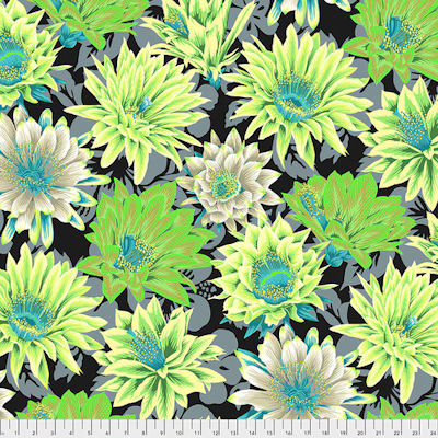 Kaffe Fassett Collective Spring 2021 PWPJ096-Contrast Free Spirit Fabrics