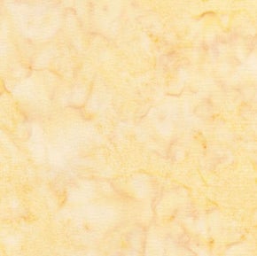 B7900-Tortilla - Timeless Treasures