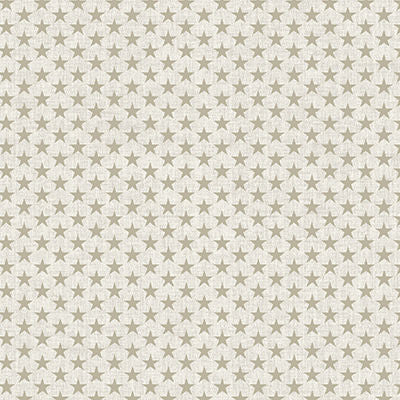 American Valor - 16876-70 Textured Stars Natural - Benartex