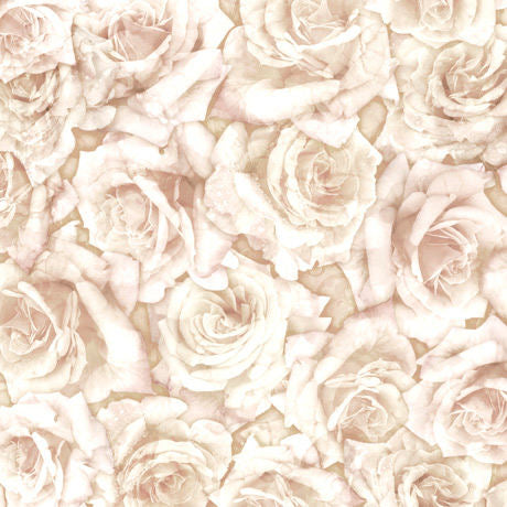 Blossoms - Roses - 28842E - Ecru - QT Fabrics