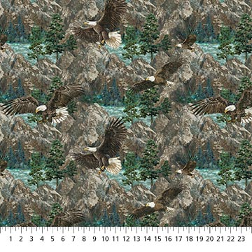 Eagle Pass - DP27672-44 - Eagle Scenic - Northcott Fabrics