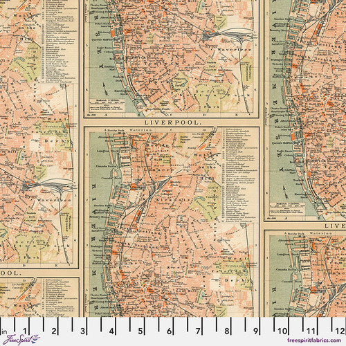 Orange Palette - PWTH233.orange - Maps - FreeSpirit Fabrics