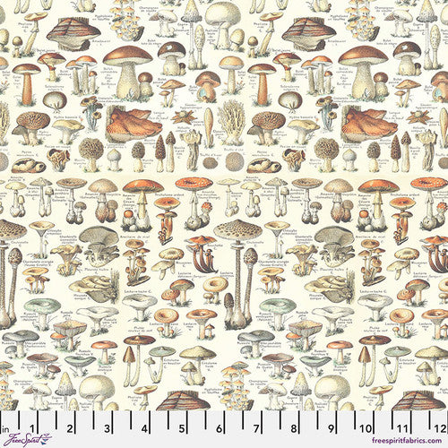 Orange Palette - PWTH236.orange - Toadstools - FreeSpirit Fabrics