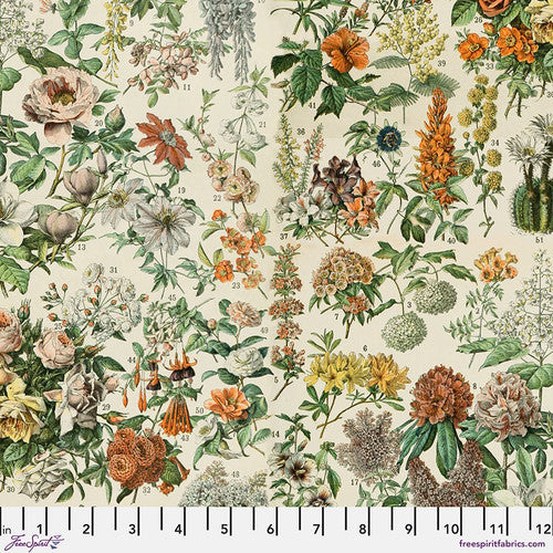 Orange Palette - PWTH237.orange - Botanical - FreeSpirit Fabrics