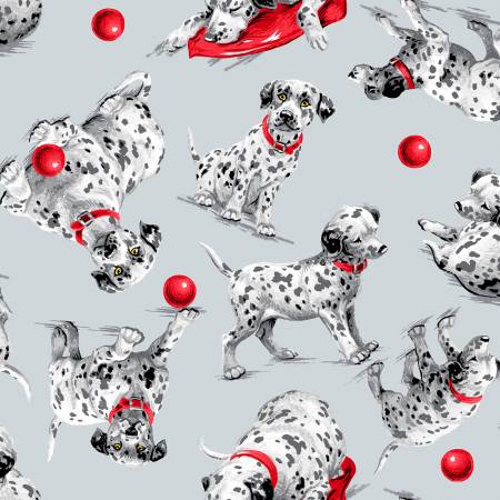 Comfy Flannel - Grey Dalmation Dogs - 1000AE-90 - AE Nathan