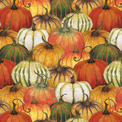 Fall Delight - 1527-33 Orange - Pumpkin Collage