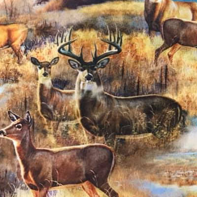 Deer in the Meadow  - Allover Deer - 27602 X - QT Fabrics